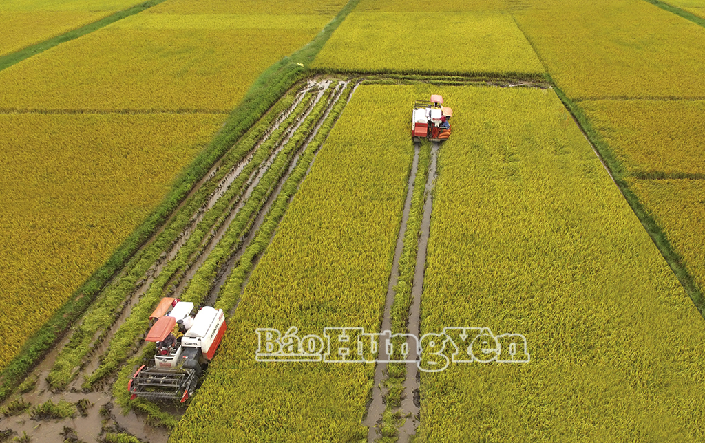 Lê Quý Đôn và tư tưởng “tam nông”
