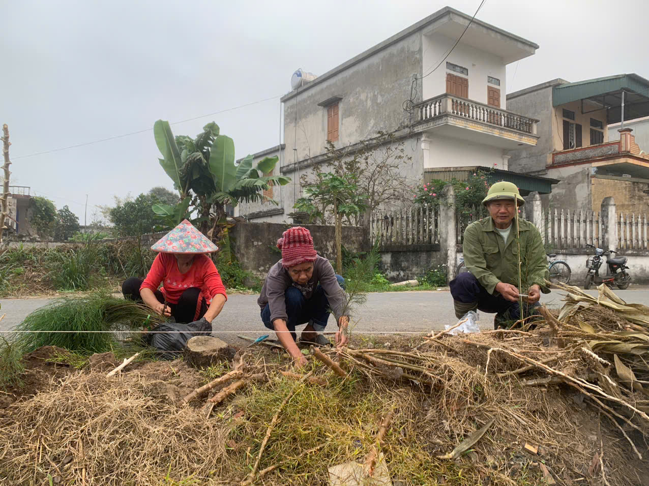 Chi hội Cựu chiến binh thôn Tri Lễ ra quân phát động “Tết trồng cây đời đời nhớ ơn Bác Hồ” Xuân Bính Ngọ 2026